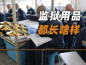 法国满天星高压监狱狱警专用防暴抓捕网