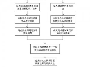 为什么 HP 公交车灌溉系统需要流畅升级？如何解决升级过程中的难题？怎样确保系统升级后的稳定运行？