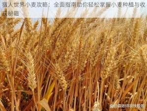 猎人世界小麦攻略：全面指南助你轻松掌握小麦种植与收获秘籍