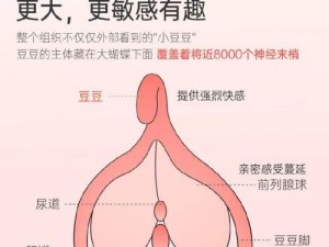 使用顶到底产品，体验前所未有的极致快感