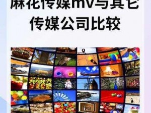 麻花传剧 mv 在线看免费，为何还要付费？如何找到免费资源？