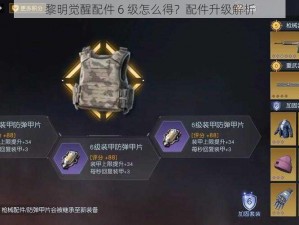 黎明觉醒配件 6 级怎么得？配件升级解析