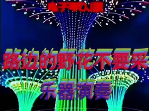 野花韩国免费观看：为什么这么吸引人？如何找到资源？