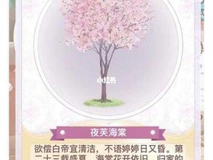 奇迹暖暖：剑类萤光之灵属性揭秘，顶配分析大放送