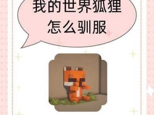 《我的世界》狐狸驯服攻略：实用技巧全解析，轻松成为驯狐高手