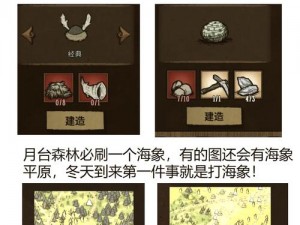 饥荒海滩珍稀宝藏揭秘：罕见物品探寻与介绍