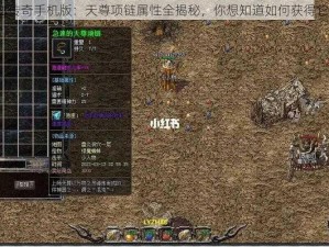 热血传奇手机版：天尊项链属性全揭秘，你想知道如何获得它吗？