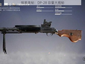 探索奥秘：DP-28 容量大揭秘