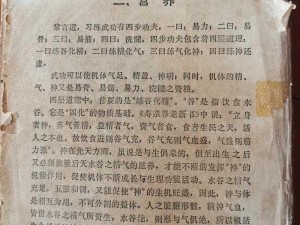 购买开碑裂石掌是否可行？——探讨传统武术技艺的现实价值