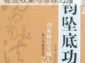 月影传说：探寻主角武功奥秘之全攻略：武功秘笈收集与修炼之道