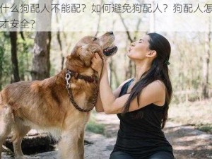 为什么狗配人不能配？如何避免狗配人？狗配人怎样配才安全？