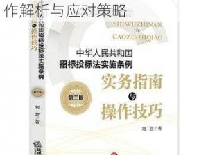 烈焰行动实施指南：全方位操作解析与应对策略