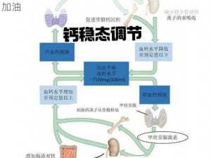 202GGY 钙站，富含钙元素的营养好物，为健康加油