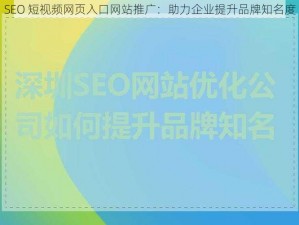 SEO 短视频网页入口网站推广：助力企业提升品牌知名度