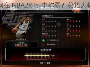 如何在 NBA2K15 中称霸？秘籍大揭秘