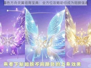 暮色方舟灵翼培育宝典：全方位攻略助你成为翅膀强者