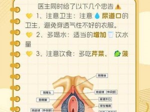 女生在小便时如何保护隐私？高清图揭示解决方案