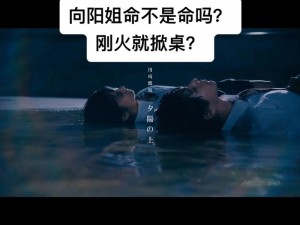 最近最新的字幕 MV 突然翻红，为什么？如何做到的？