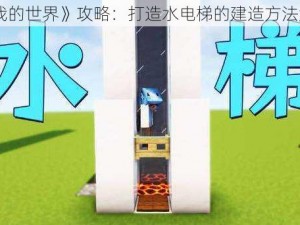 《我的世界》攻略：打造水电梯的建造方法解析