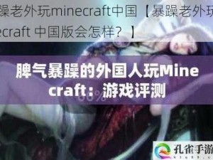 暴躁老外玩minecraft中国【暴躁老外玩 Minecraft 中国版会怎样？】