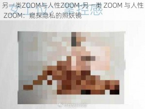 另一类ZOOM与人性ZOOM-另一类 ZOOM 与人性 ZOOM：窥探隐私的照妖镜