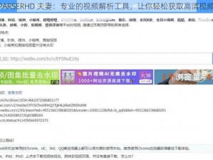 JAVAPARSERHD 夫妻：专业的视频解析工具，让你轻松获取高清视频资源