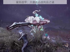 星际战甲：大傻战后战利品之谜