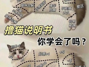 如何用 5 步策略围住神经猫——图文详解