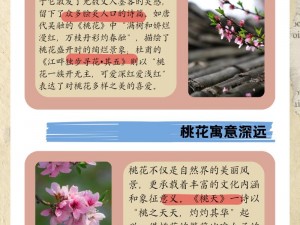 为什么桃花流水后芳草萋萋？如何应对桃花流水后的芳草萋萋？怎样避免桃花流水后芳草萋萋？