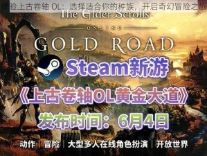 体验上古卷轴 OL：选择适合你的种族，开启奇幻冒险之旅