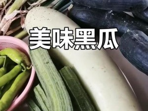 黑瓜吃料网入口【黑瓜吃料网入口：探索未知的奇妙世界】