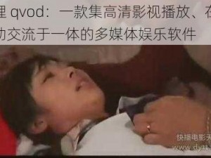 伦理 qvod：一款集高清影视播放、在线互动交流于一体的多媒体娱乐软件