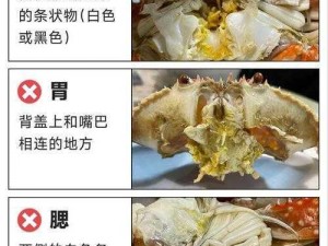 《荒岛求生：深入解析烤螃蟹的流程方法》