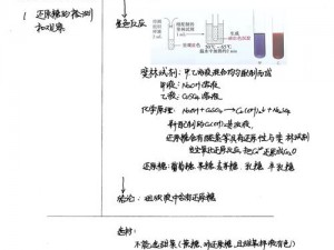 《拯救细胞：蛋白质获取的关键方法与策略》