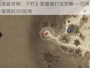 《暗黑破坏神：不朽》黑蔷薇打法攻略——巧用策略战胜蔷薇BOSS指南