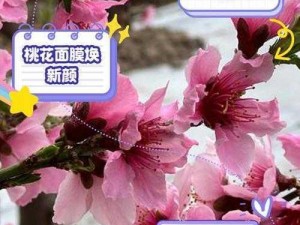 在青青草原上，桃花为何久久不开？有什么办法可以解决？