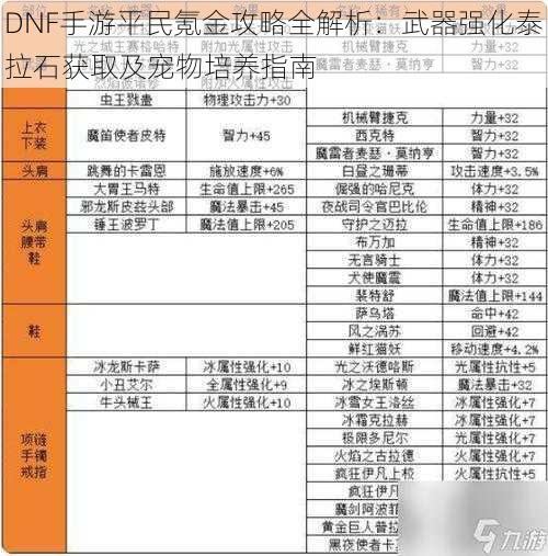 DNF手游平民氪金攻略全解析：武器强化泰拉石获取及宠物培养指南