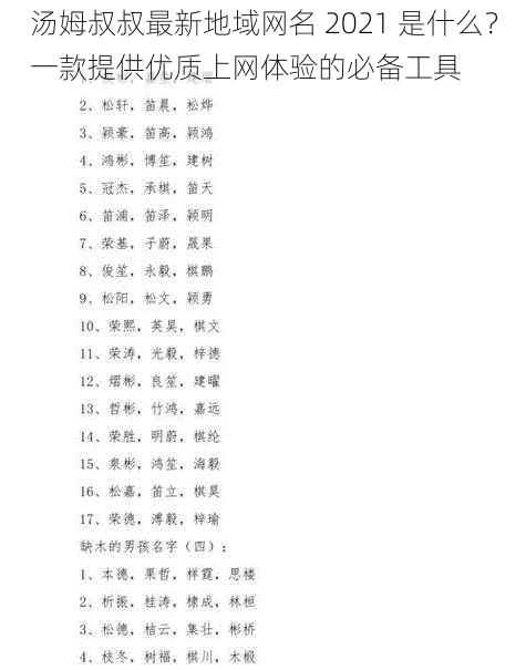 汤姆叔叔最新地域网名 2021 是什么？一款提供优质上网体验的必备工具