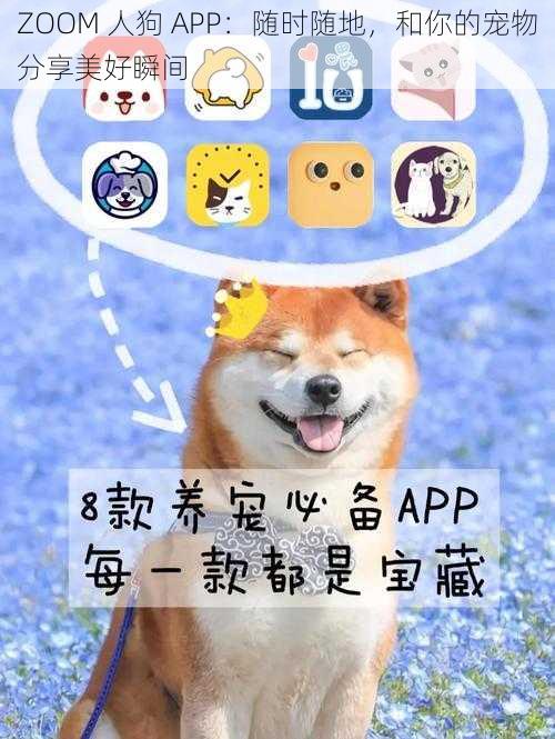 ZOOM 人狗 APP：随时随地，和你的宠物分享美好瞬间