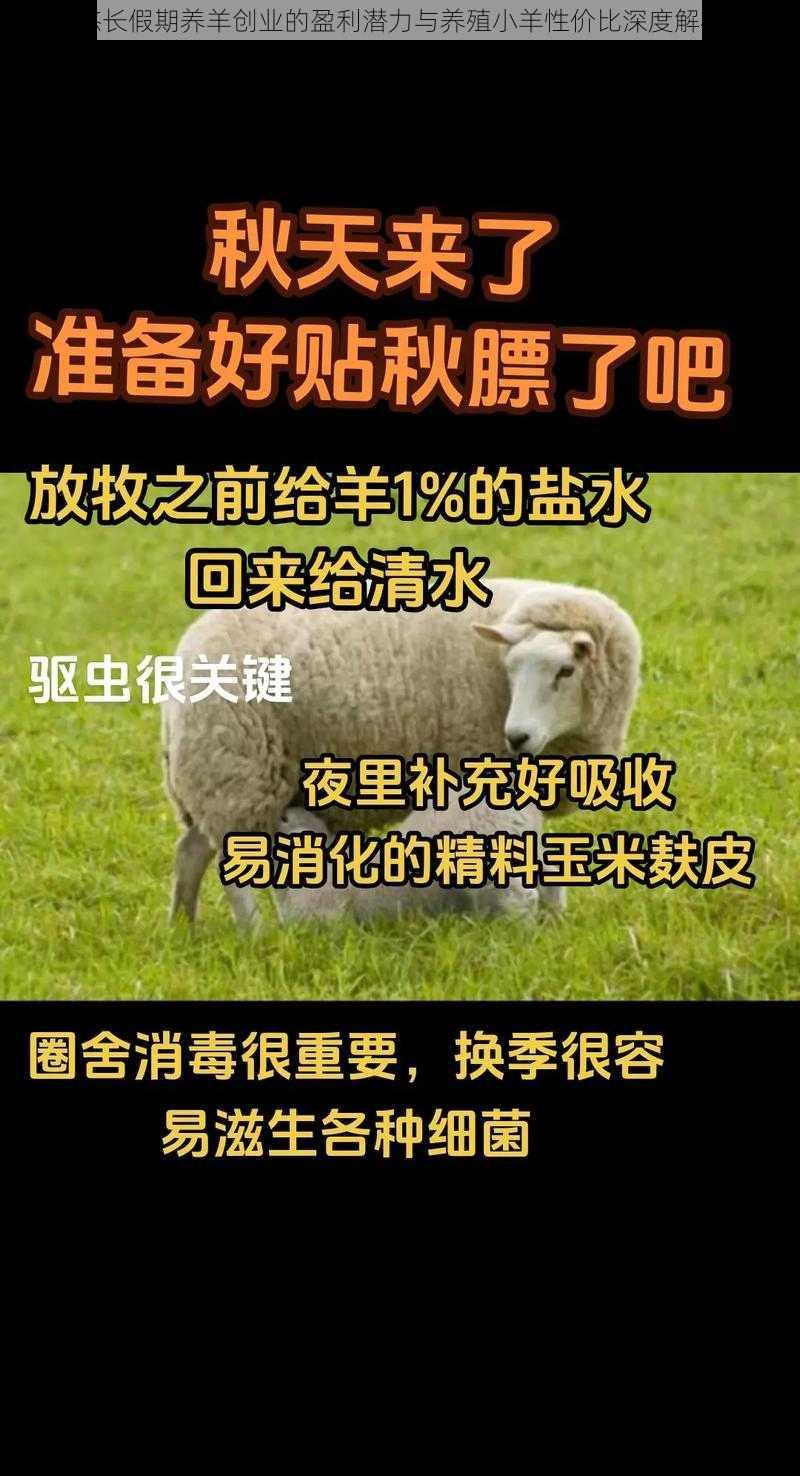 悠长假期养羊创业的盈利潜力与养殖小羊性价比深度解析