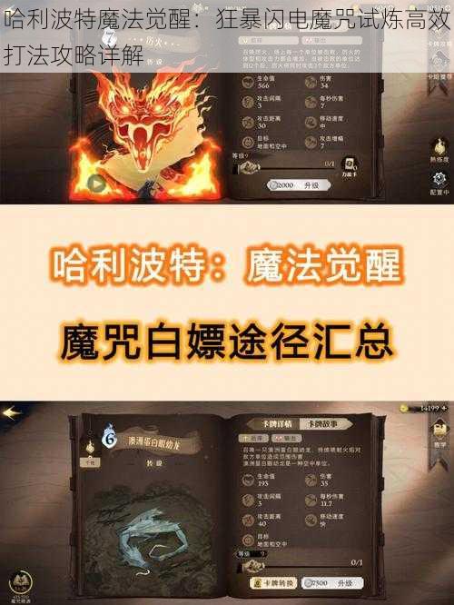 哈利波特魔法觉醒：狂暴闪电魔咒试炼高效打法攻略详解