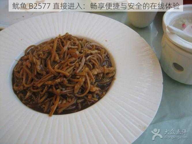 鱿鱼 B2577 直接进入：畅享便捷与安全的在线体验