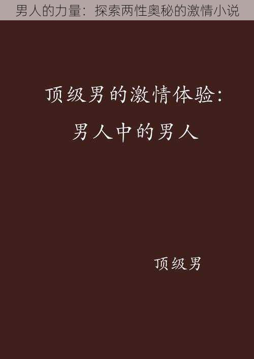 男人的力量：探索两性奥秘的激情小说