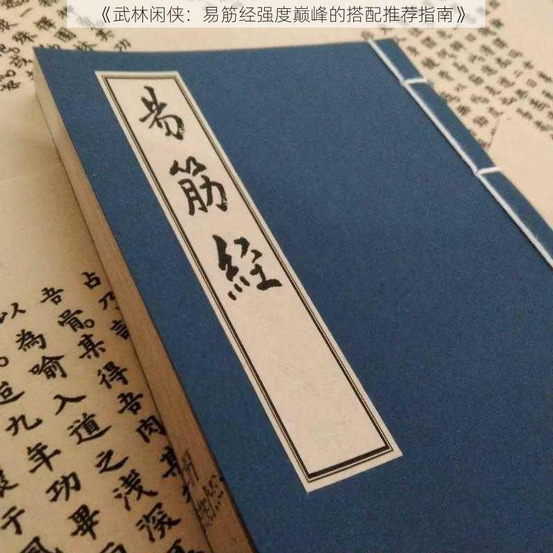 《武林闲侠：易筋经强度巅峰的搭配推荐指南》