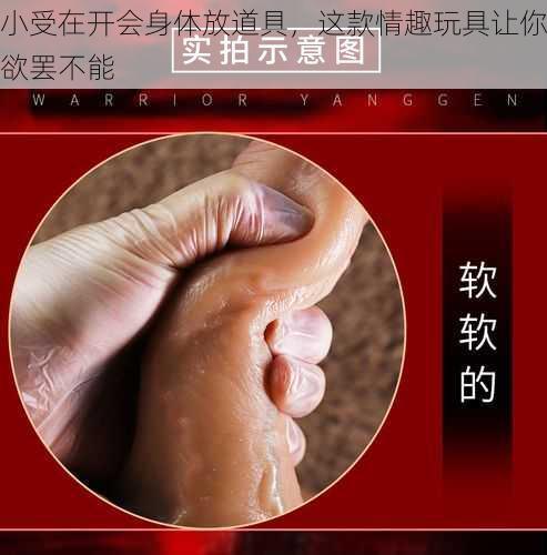 小受在开会身体放道具，这款情趣玩具让你欲罢不能