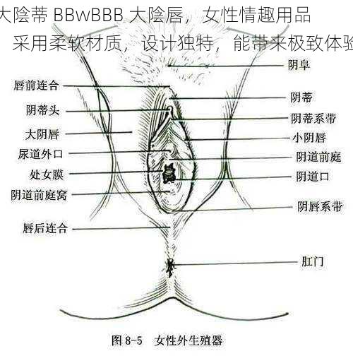 大陰蒂 BBwBBB 大陰唇，女性情趣用品，采用柔软材质，设计独特，能带来极致体验