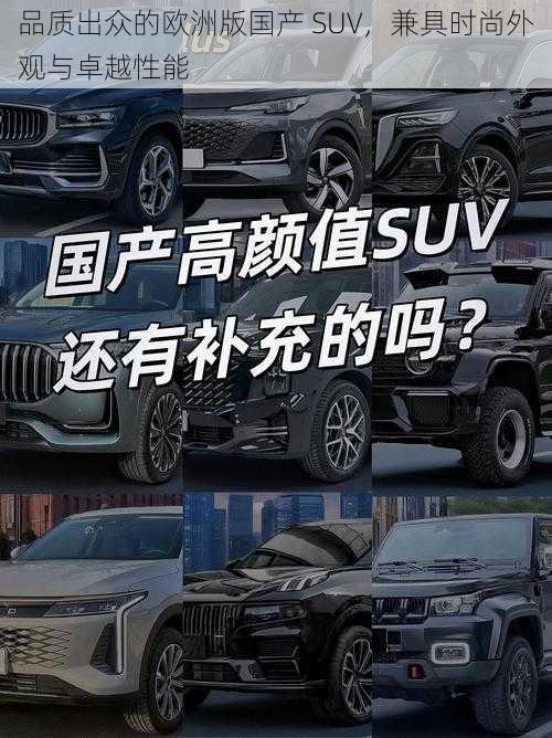 品质出众的欧洲版国产 SUV，兼具时尚外观与卓越性能