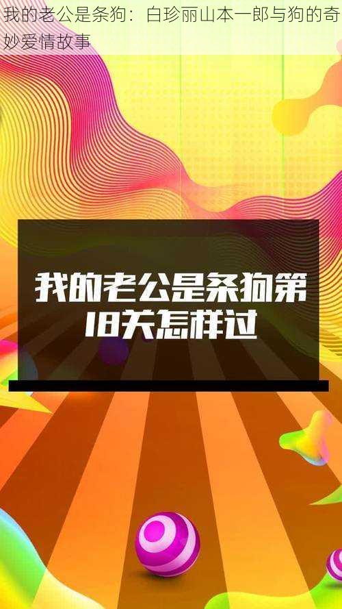 我的老公是条狗：白珍丽山本一郎与狗的奇妙爱情故事