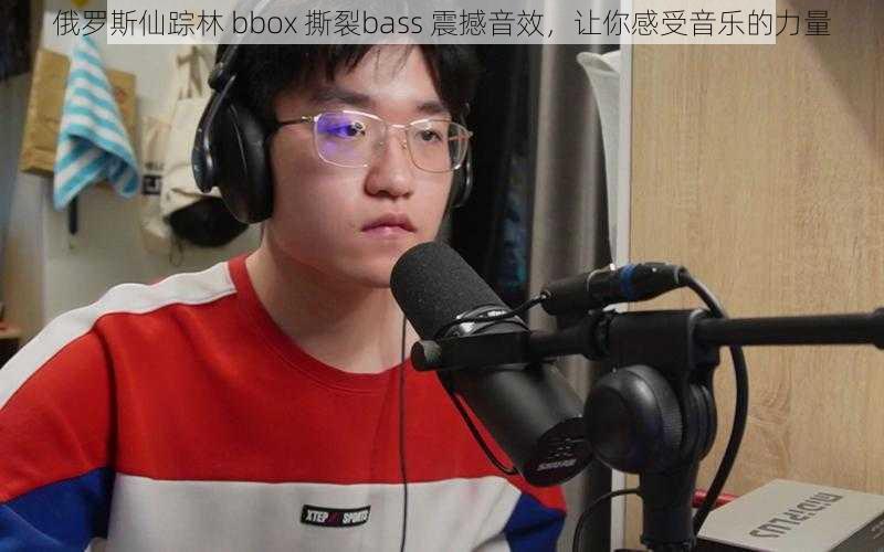 俄罗斯仙踪林 bbox 撕裂bass 震撼音效，让你感受音乐的力量