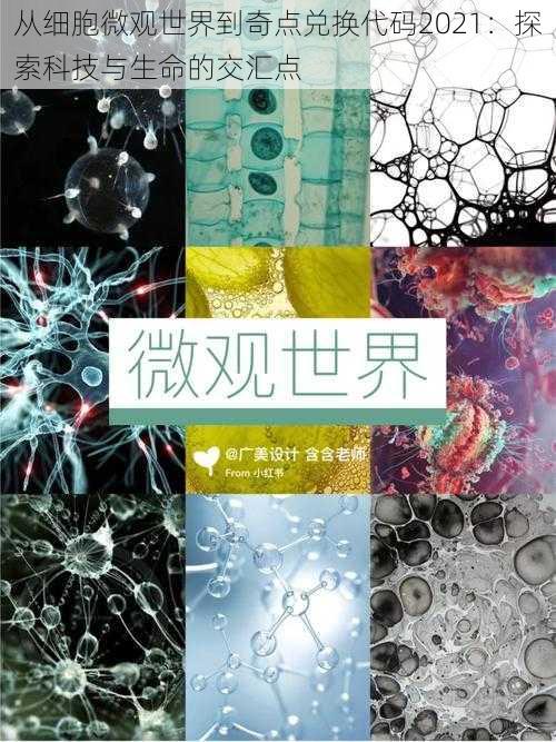 从细胞微观世界到奇点兑换代码2021：探索科技与生命的交汇点